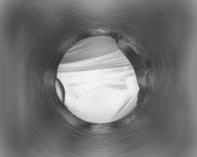 X0000052940331200508050902