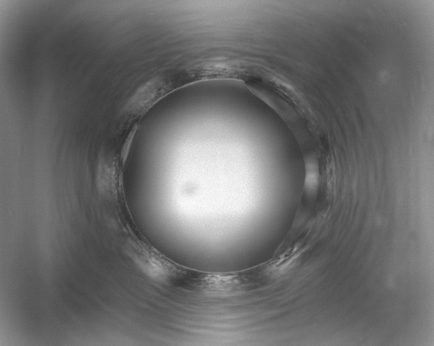 X0000052940333200508050902