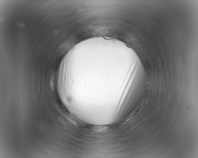 X0000052940334200508050902