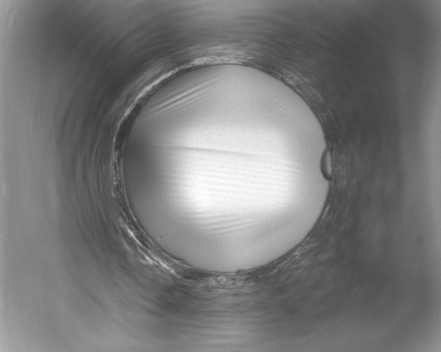 X0000052940338200508050901