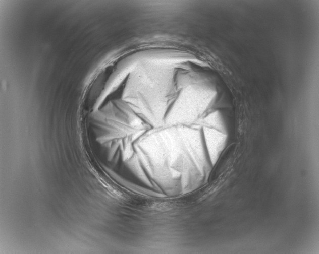 X0000052940341200508050901