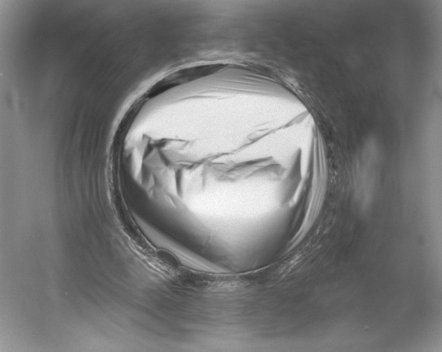 X0000052940342200508050901