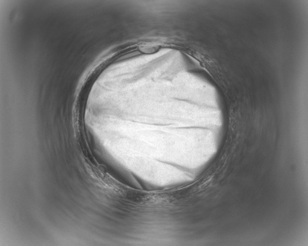 X0000052940343200508050901