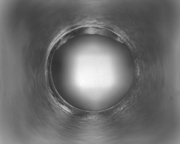 X0000052940344200508050901