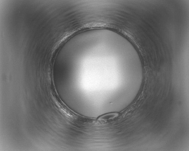 X0000052940345200508050901