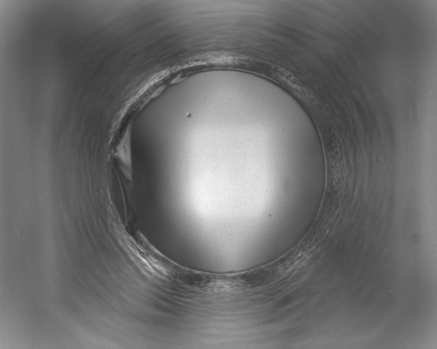 X0000052940350200508050901