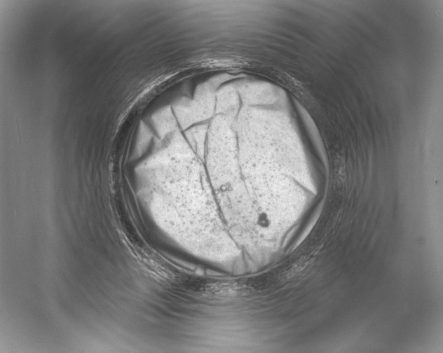 X0000052940351200508050901