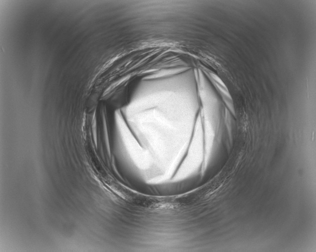 X0000052940352200508050901