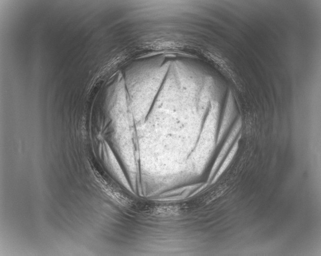 X0000052940353200508050901