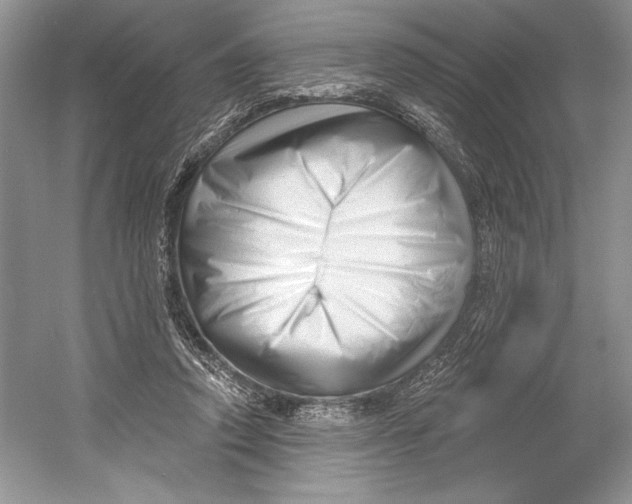 X0000052940354200508050901