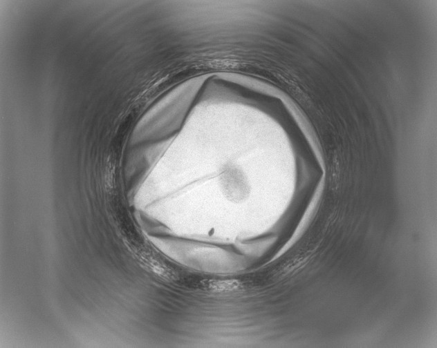 X0000052940355200508050901