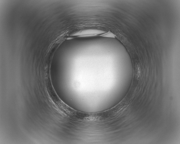 X0000052940356200508050902