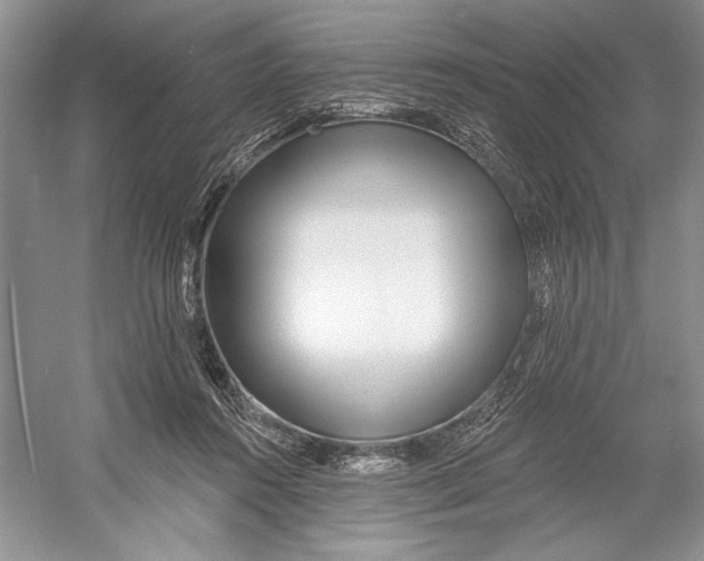 X0000052940360200508050902