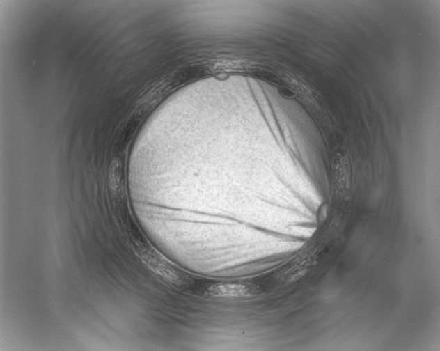 X0000052940361200508050902