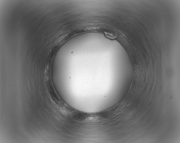 X0000052940364200508050902