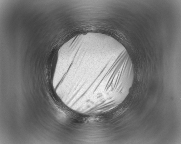 X0000052940366200508050902