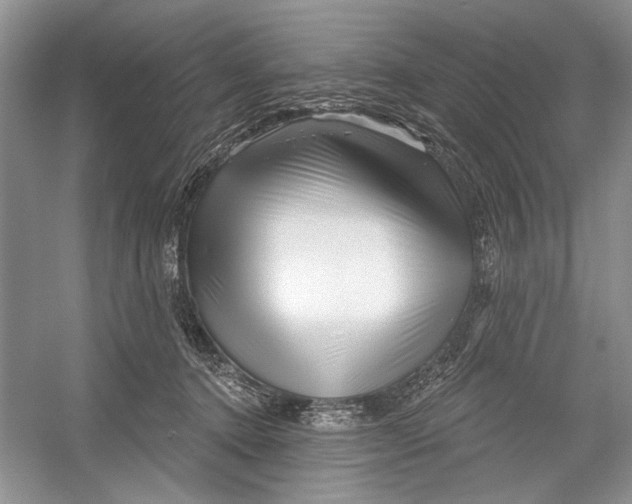 X0000052940368200508050902