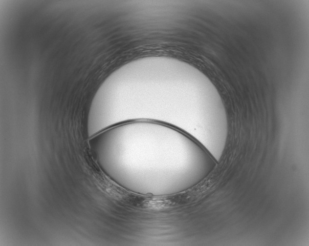 X0000052940372200508050902