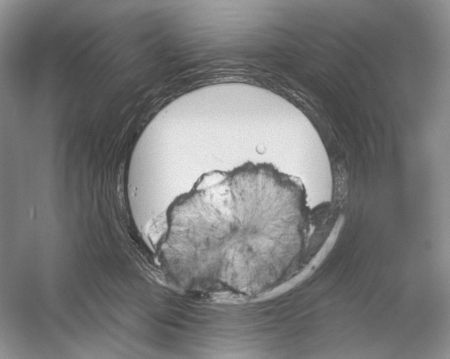 X0000052940373200508050902