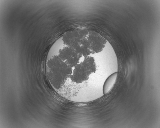 X0000052940374200508050902