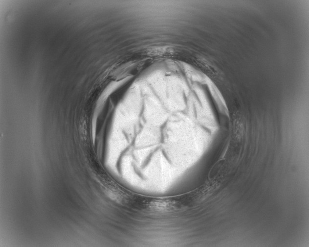 X0000052940375200508050902