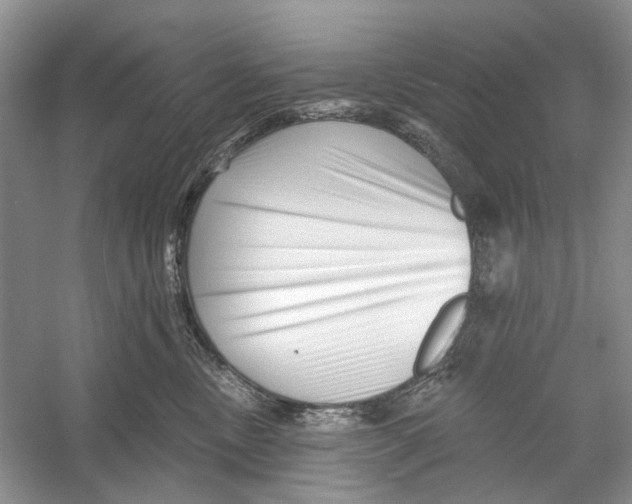 X0000052940378200508050902