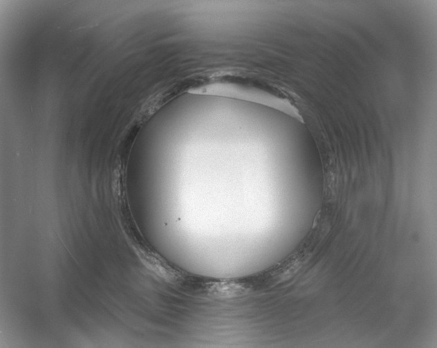 X0000052940379200508050902