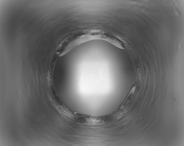 X0000052940380200508050902