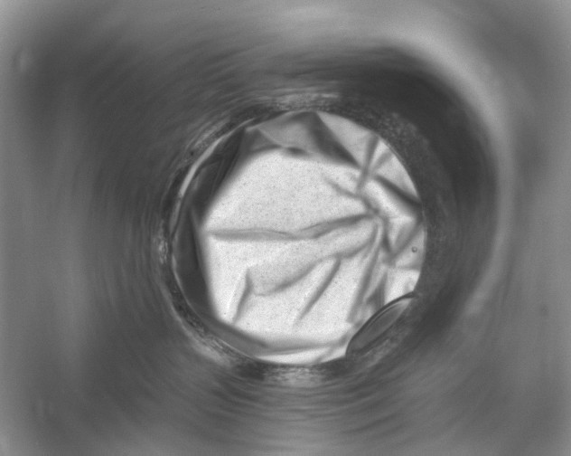 X0000052940383200508050902