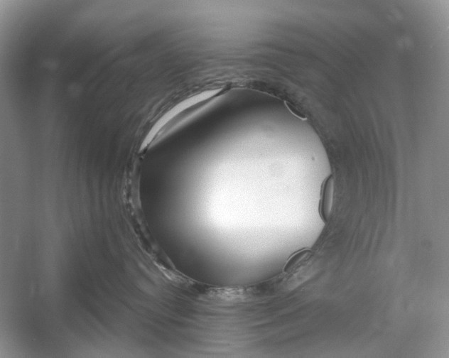 X0000052940384200508050902