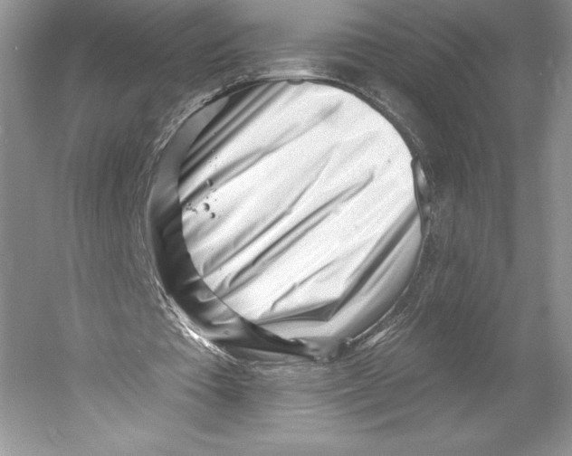 X0000052940385200508050901