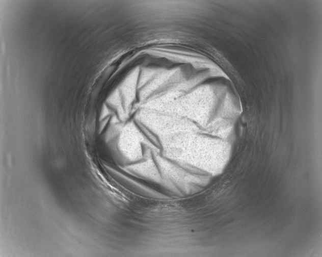 X0000052940386200508050901