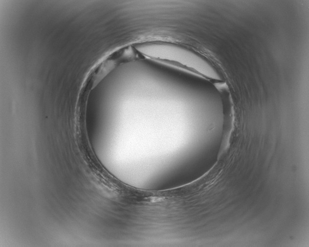 X0000052940388200508050901