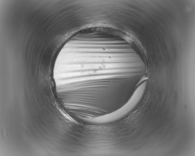 X0000052940389200508050901