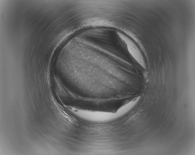 X0000052940391200508050901