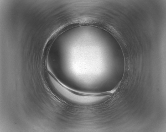 X0000052940392200508050901