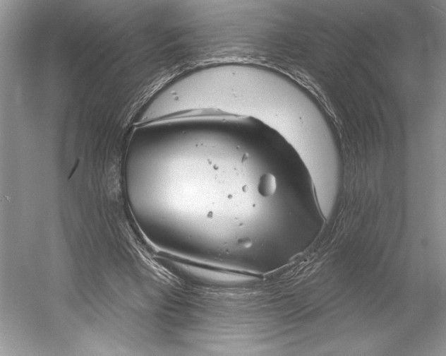 X0000052940393200508050901