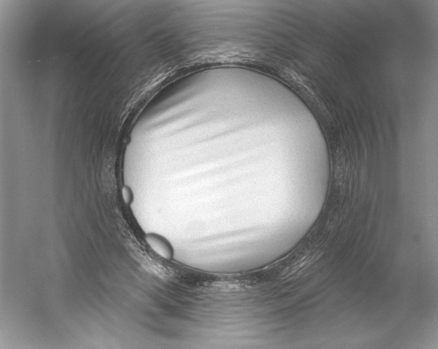 X0000052940394200508050901