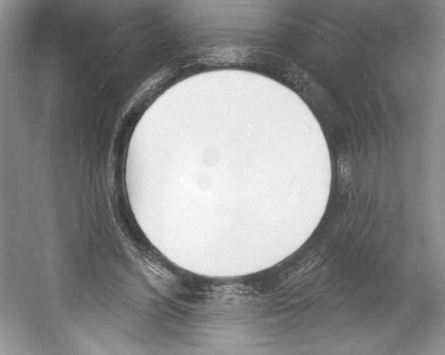 X0000052940396200508050901