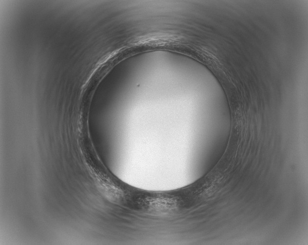 X0000052940400200508050901