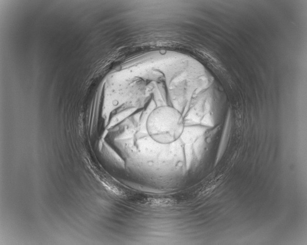 X0000052940401200508050901