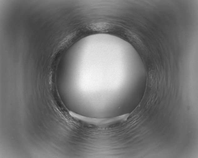 X0000052940404200508050901