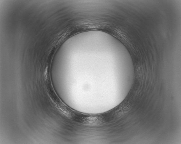 X0000052940406200508050901