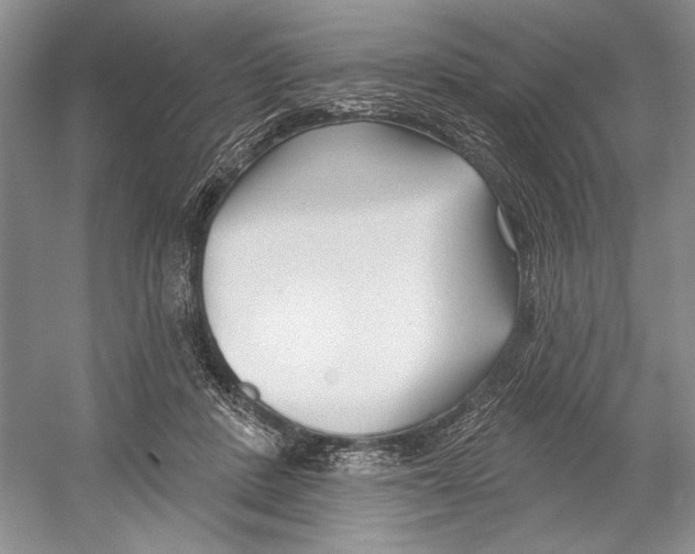 X0000052940408200508050901