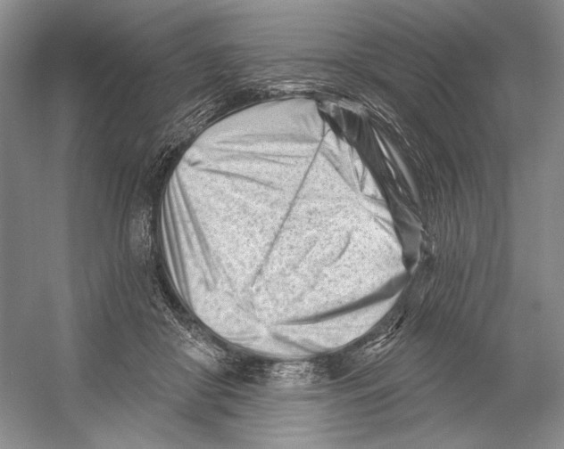 X0000052940410200508050901