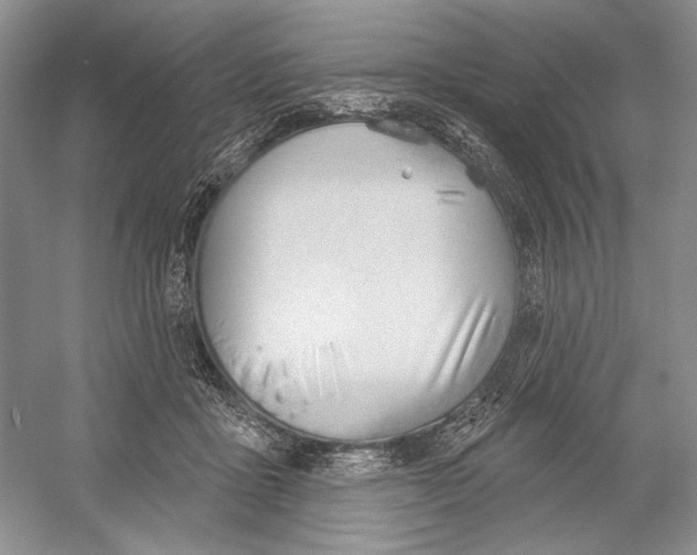 X0000052940411200508050901