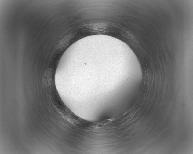 X0000052940412200508050901