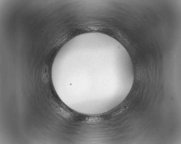 X0000052940414200508050901