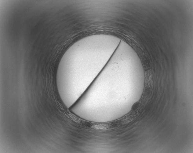 X0000052940417200508050901