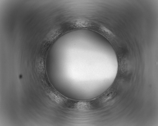 X0000052940418200508050901